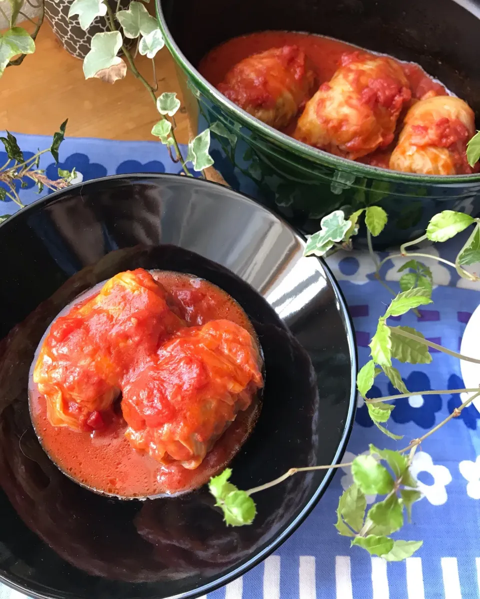 🍴STAUBで じっくりコトコト煮た トロッと柔らか ロールキャベツ🍅|Hollyさん