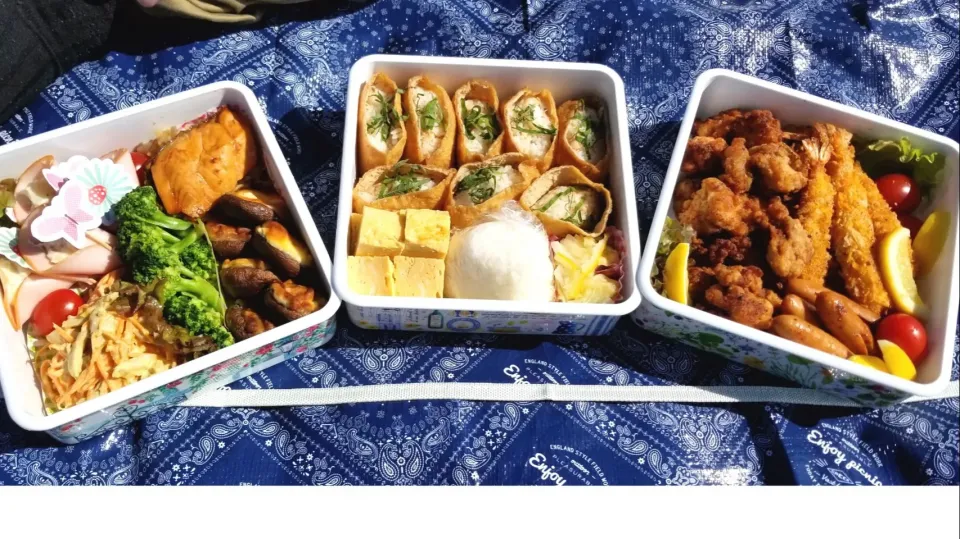 Snapdishの料理写真:秋のピクニック弁当🍁🍄🌰|misaさん