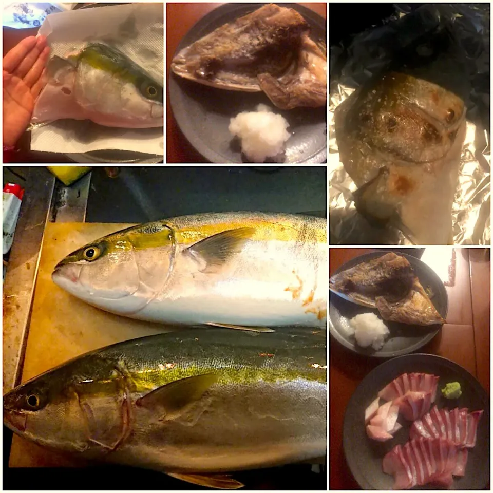 Sashimi,Solt baked Yellowtail&Shabushabu vagetable pot🍲鰤三昧<お刺身･かまの塩焼き･鰤しゃぶ鍋>|🌈Ami🍻さん