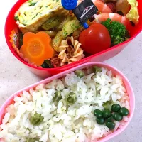 Snapdishの料理写真:社会見学のお弁当🍱|かわちさん