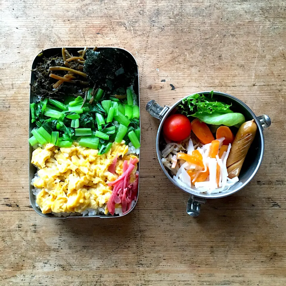 今日のお弁当‼︎ 23 October
 #お弁当  #弁当  #obento  #lunchbox  #お弁当記録  #デビラカレイ  #ガンゾウカレイ  #三色弁当  #野菜たっぷり  #yamasabento|Yoshinobu Nakagawaさん