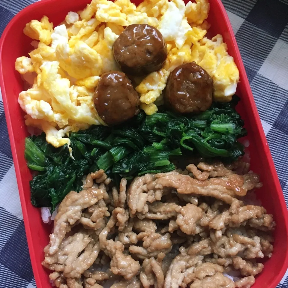 そぼろ弁当🍱|しろくまさん