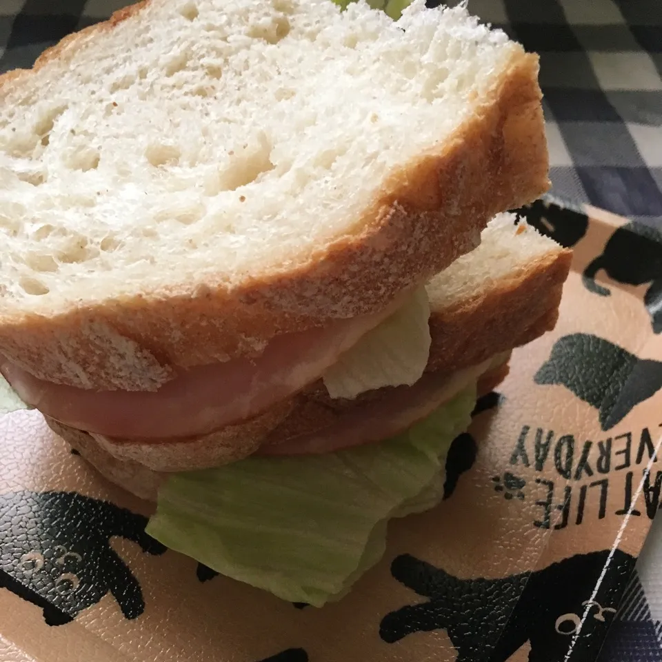 Snapdishの料理写真:カンパーニュ🍞|しろくまさん