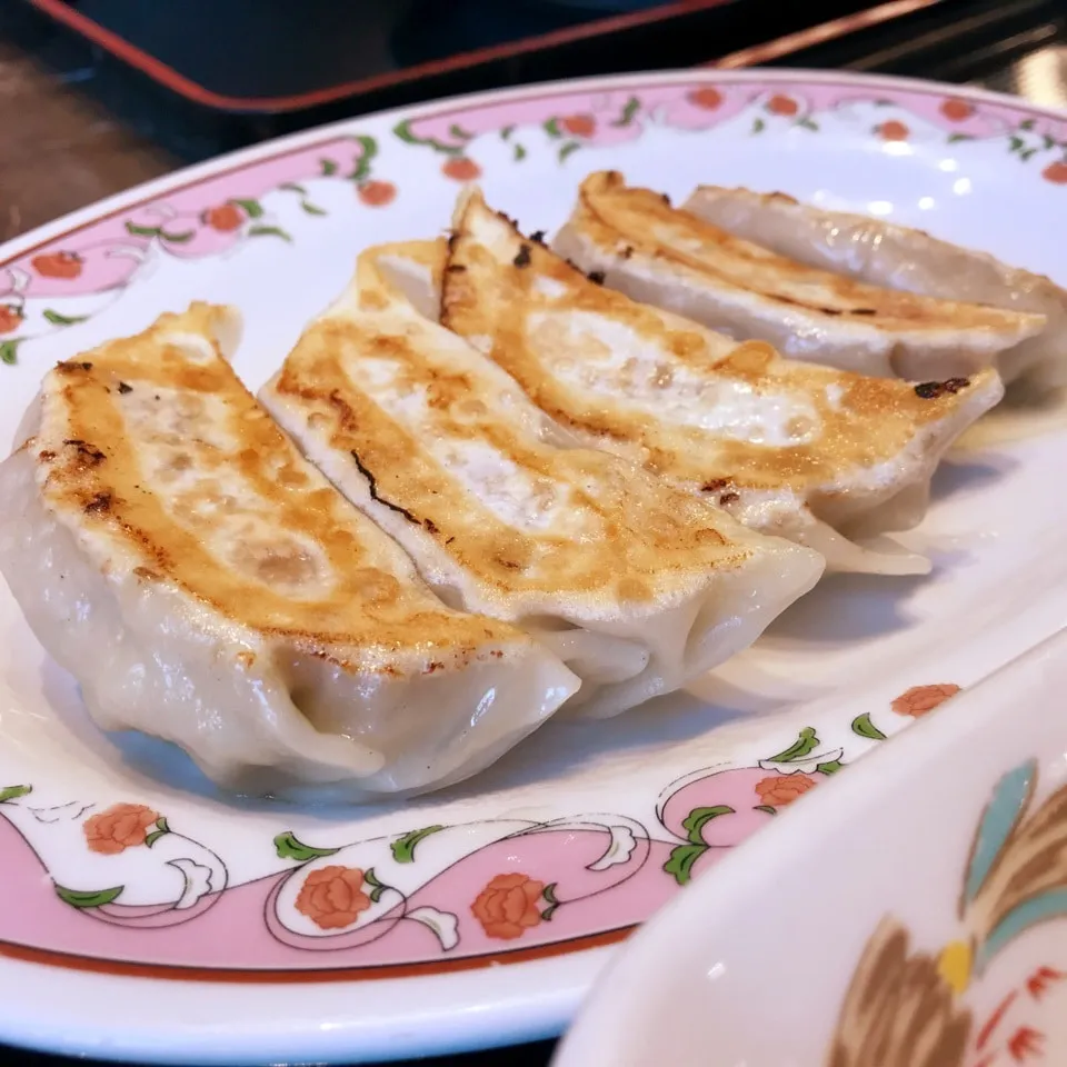 ギョウザ☆夕食|ビーグルさん