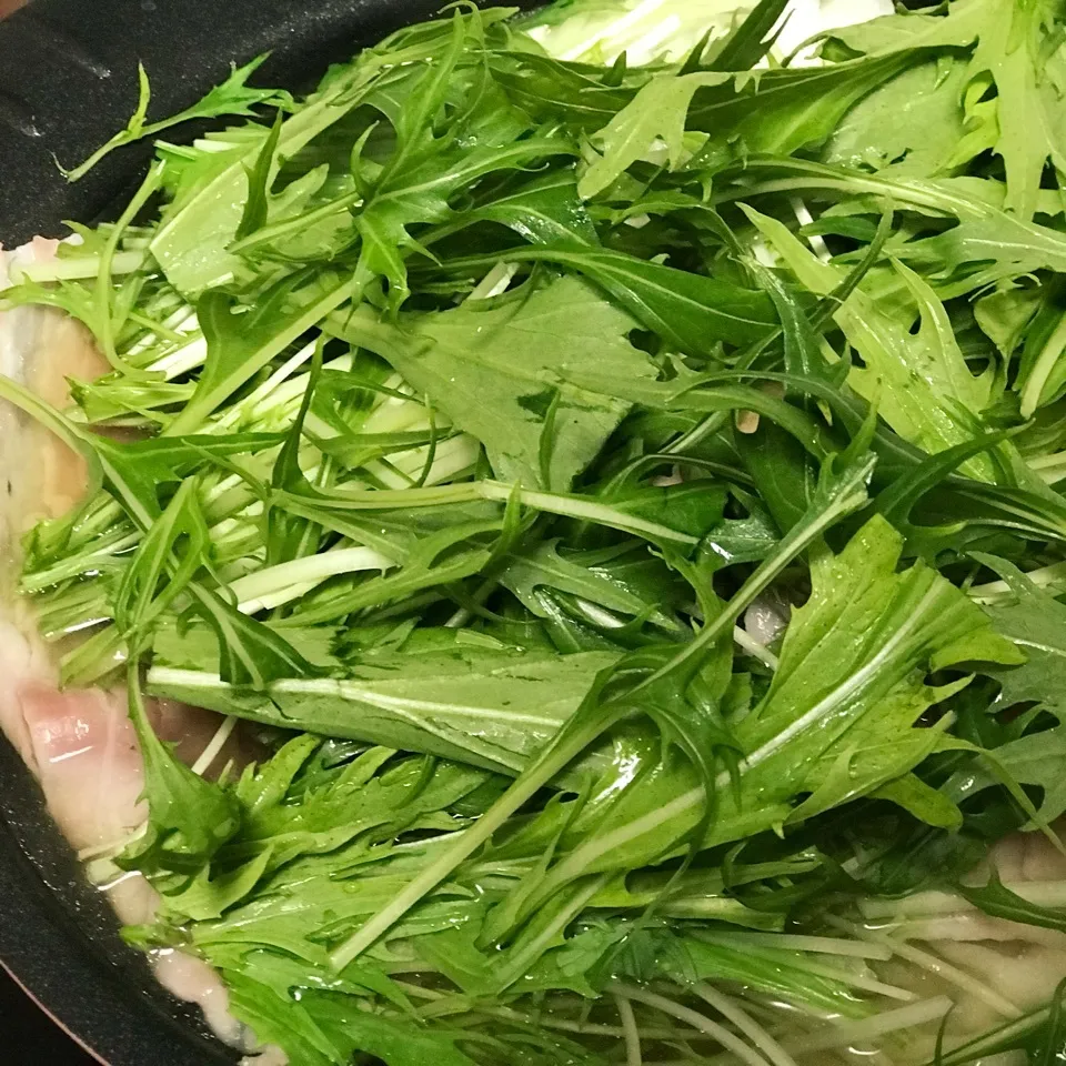 水菜どっさり鍋〜❤️ 高騰する野菜にちっちゃな反撃👊|ビーグルさん