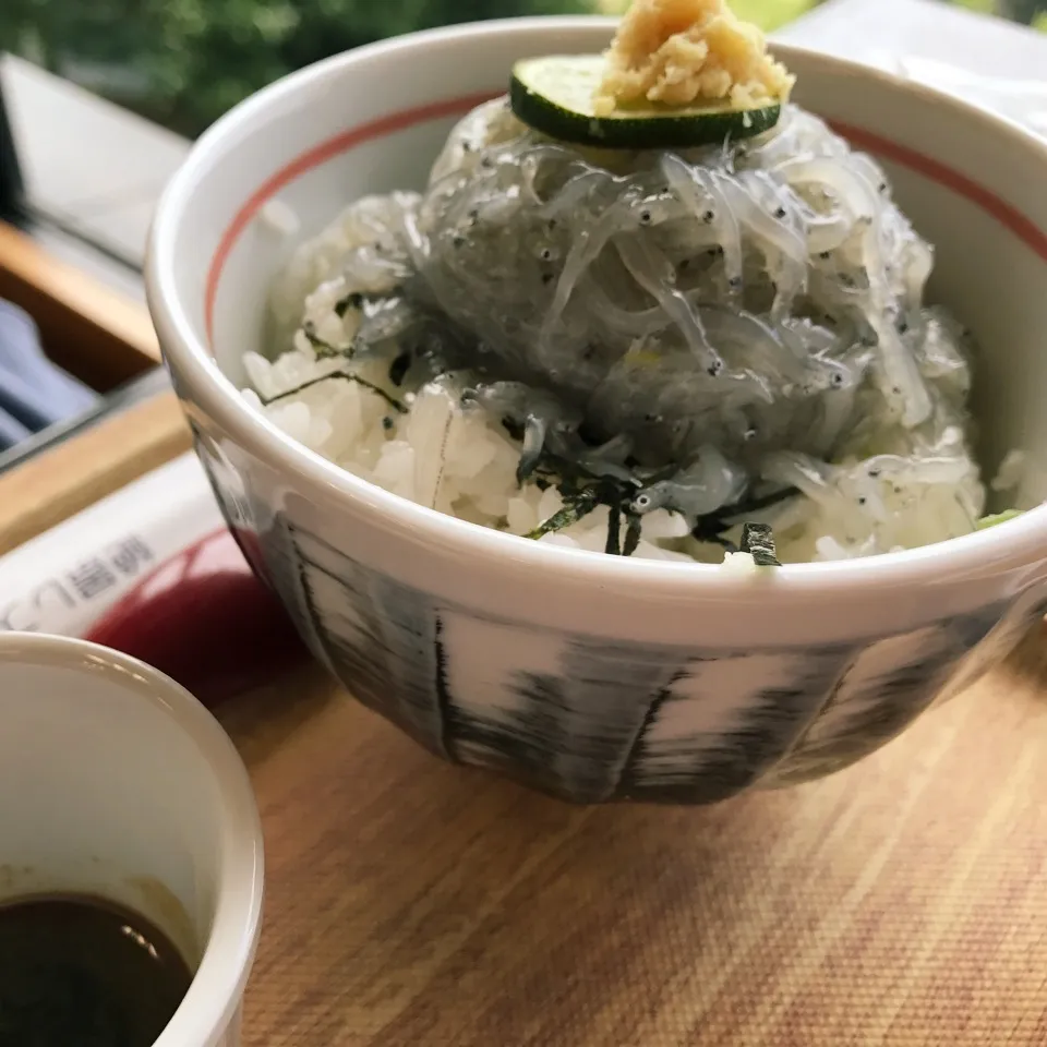 娘が注文☆淡路島の生しらす丼|ビーグルさん