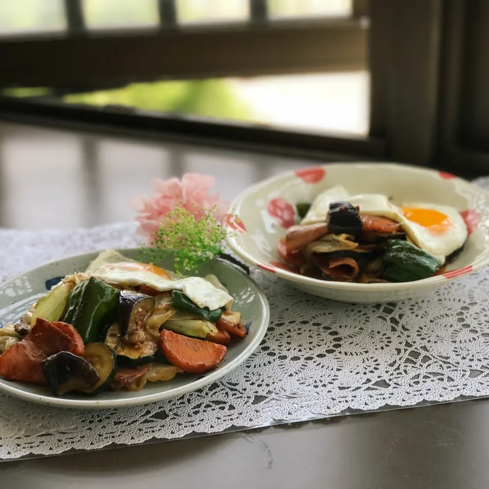 野菜室の夏野菜一掃ランチ🥒🍆|ビーグルさん