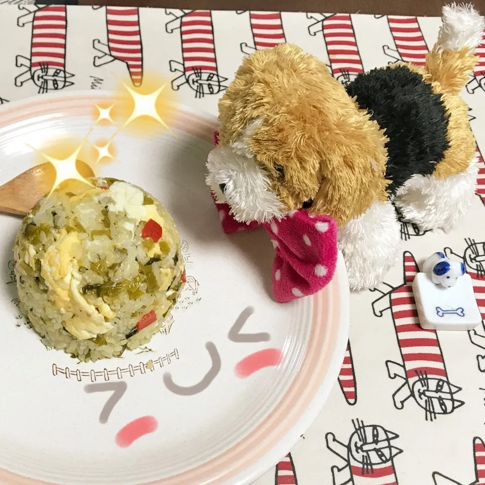 Snapdishの料理写真:太陽でるでる♡さんの真似っこ☆高菜チャーハン💕|ビーグルさん