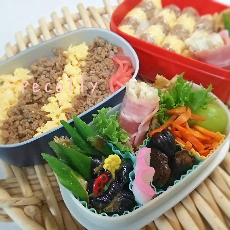 そぼろごはん弁当|kanakoさん