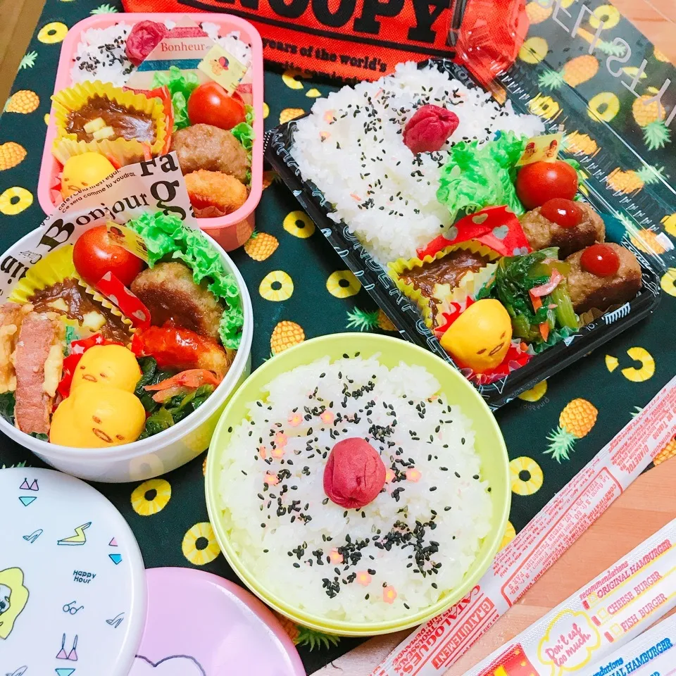 3人仲良しでお弁当🍱|Harumiさん