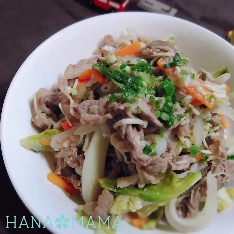 再投稿♡焼肉のタレと大葉ネギ味噌の牛肉炒め|花ママさん