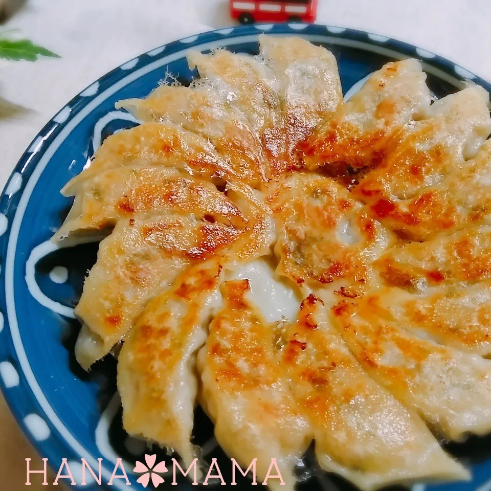 焼き色薄め～💧久しぶりの餃子|花ママさん