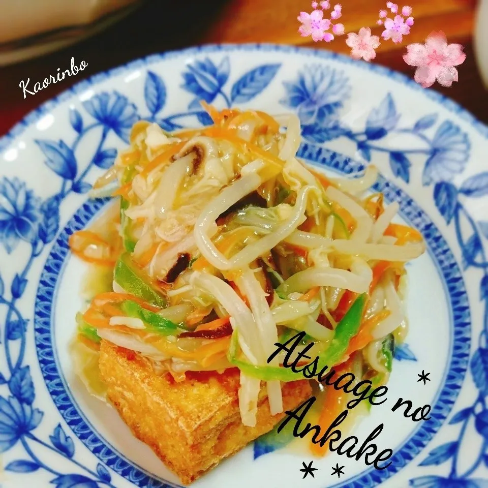 Snapdishの料理写真:厚揚げの野菜たっぷり餡掛け♪|Kaorinboさん