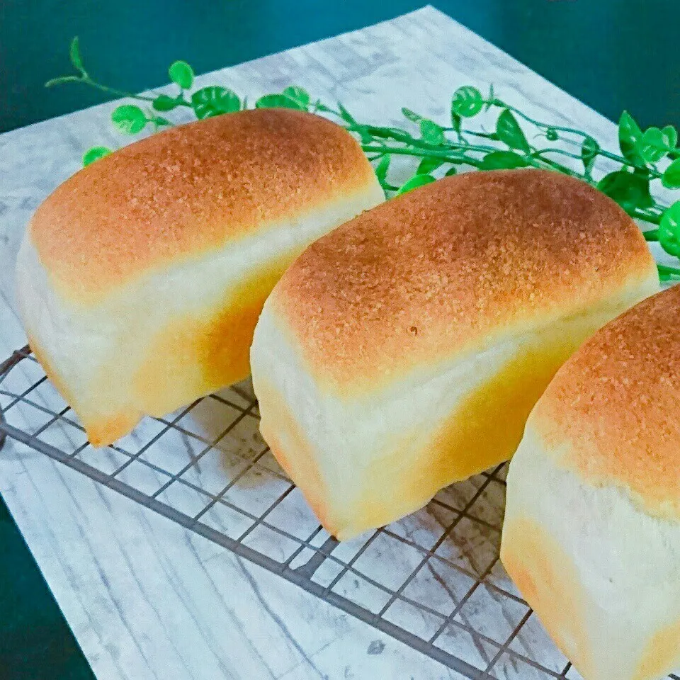 酒種酵母🍞ミニ食パン🍞|bobbinさん