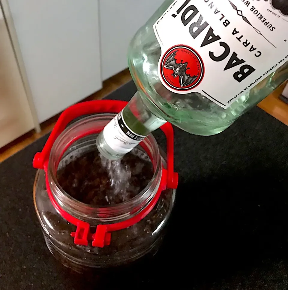 レーズンがBACARDIをごくごく1.７５ml飲んでます。|シュトママさん