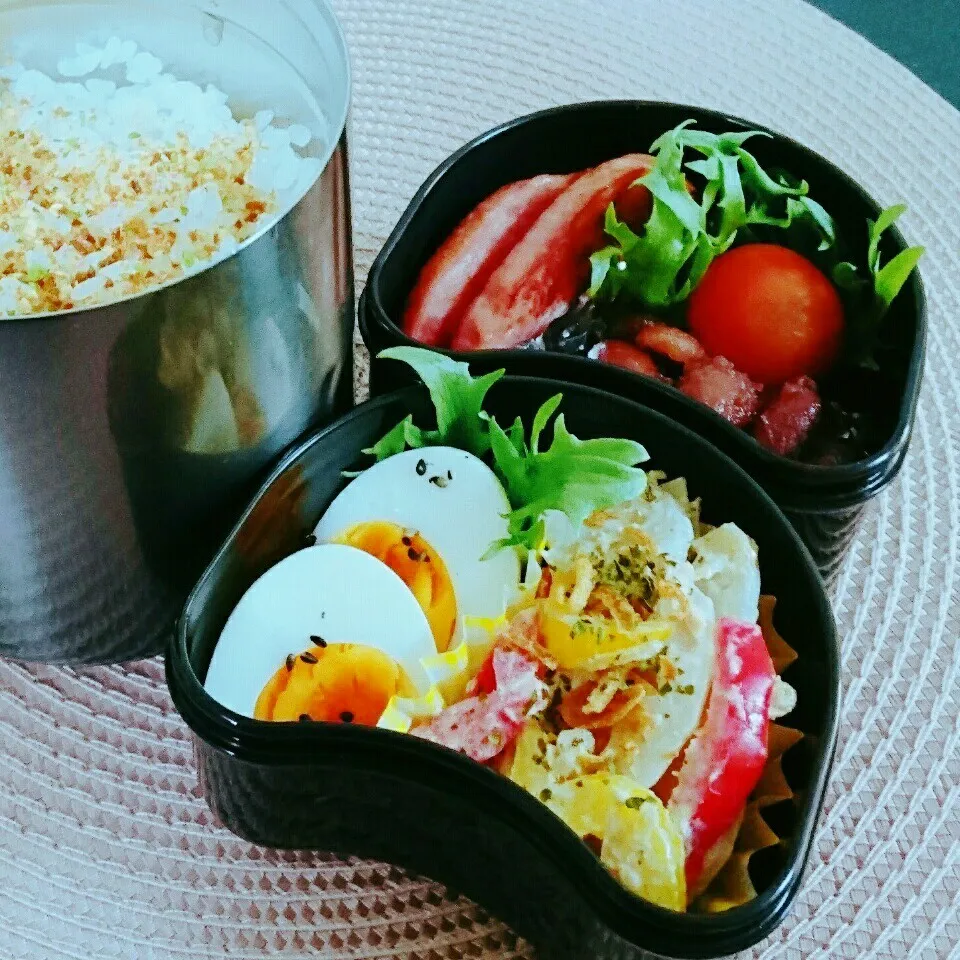 1月19日 息子弁当|bobbinさん