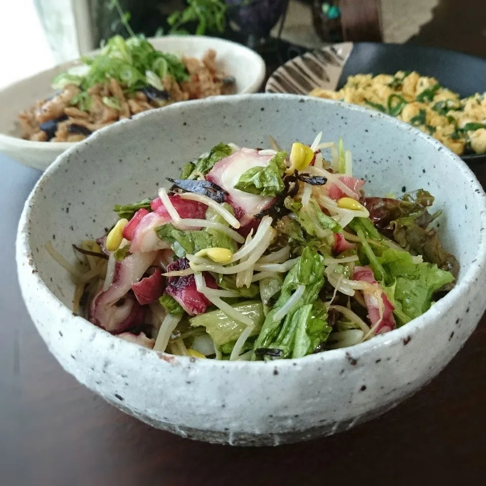 タコと豆もやしの塩昆布ナムル|まりおさん