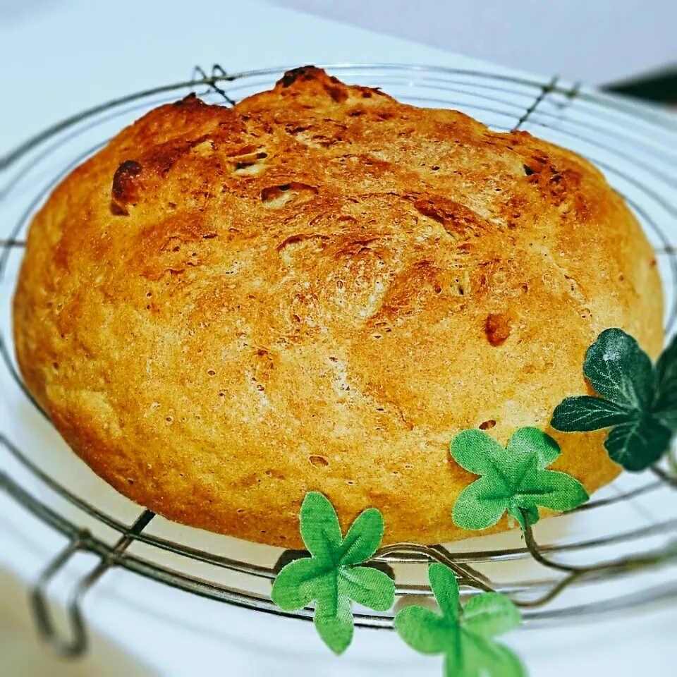 Snapdishの料理写真:🍞ドイツ風田舎パン🍞 (ライ麦)|bobbinさん