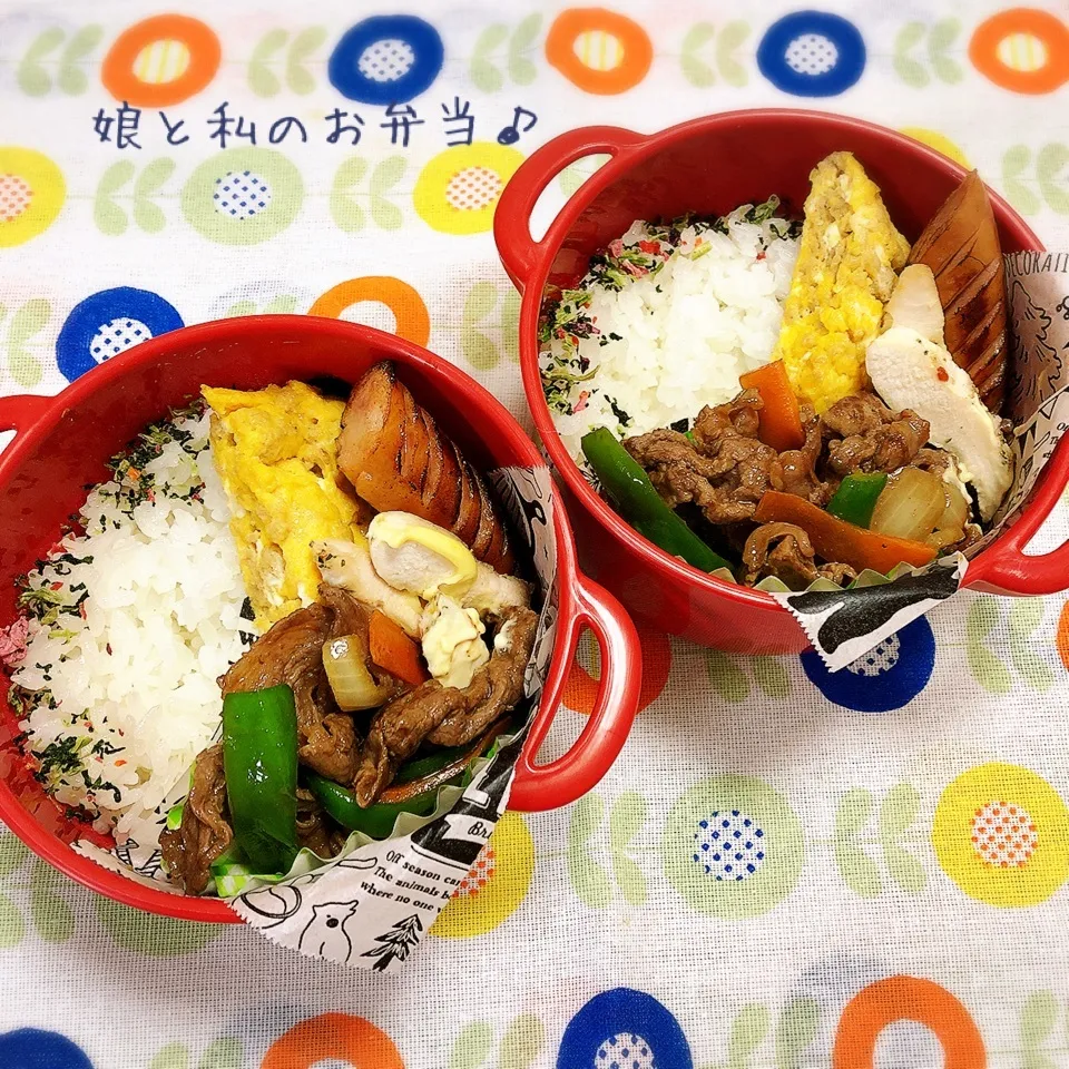 今日のお弁当|なめ子さん