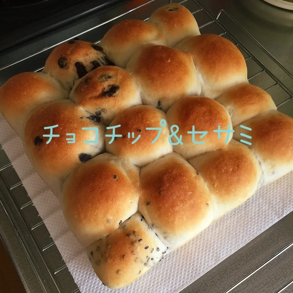 分かりにくいけど…チョコチップ&セサミinちぎりパン|このみんさん