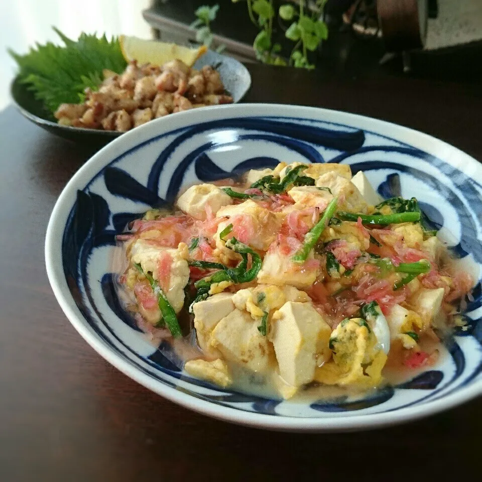 ニラ玉豆腐の桜エビあんかけ|まりおさん