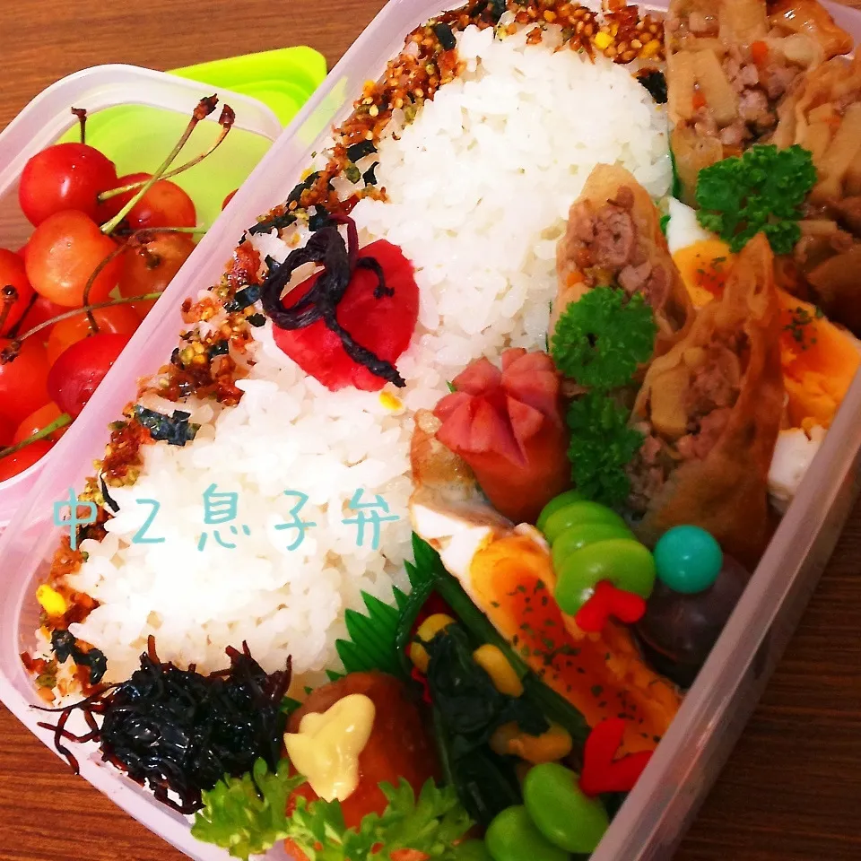 Snapdishの料理写真:男子中学生弁当|utaさん