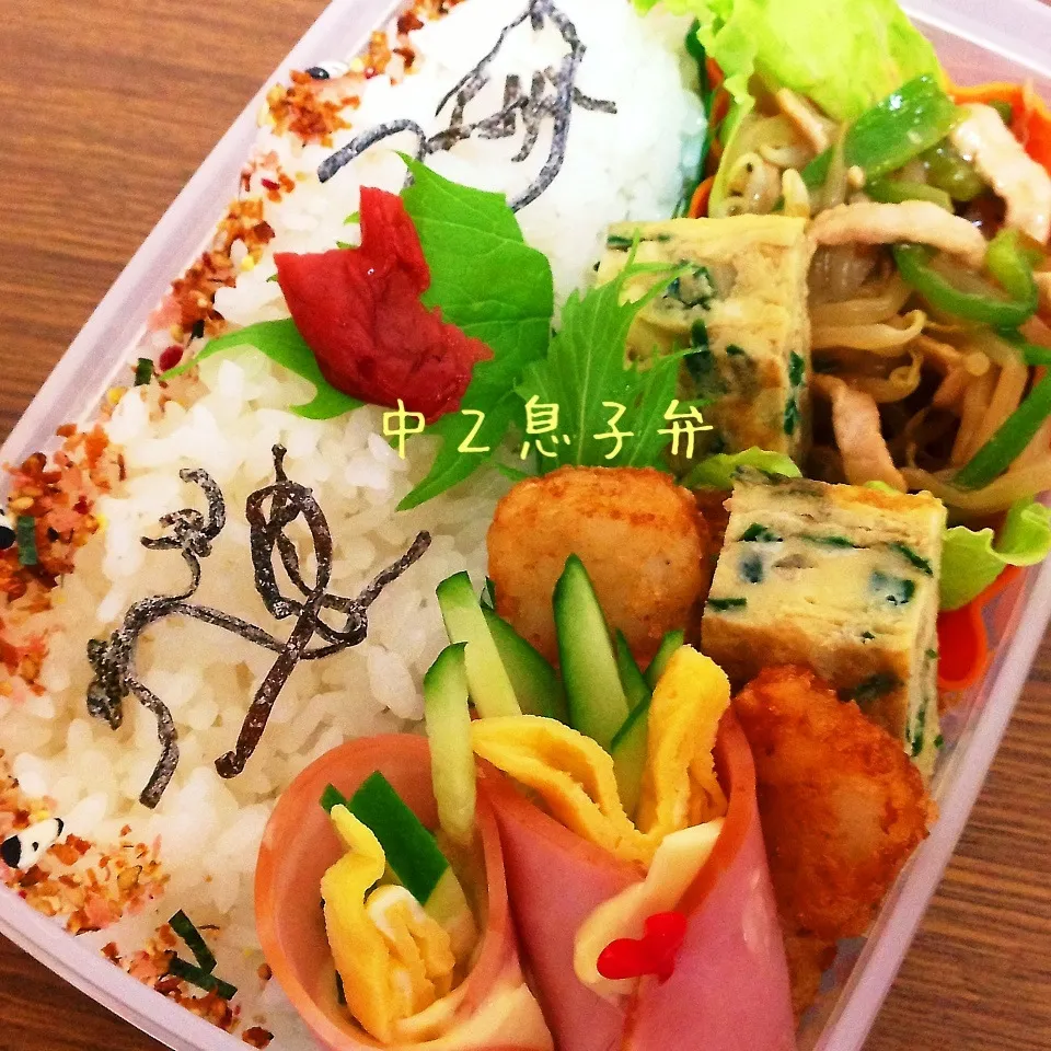 Snapdishの料理写真:男子中学生弁当|utaさん