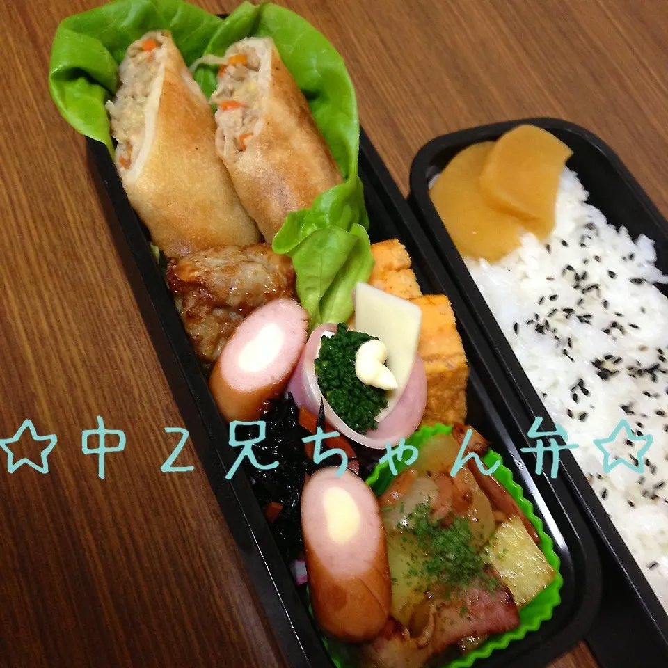 Snapdishの料理写真:☆男子中学生弁当☆|utaさん