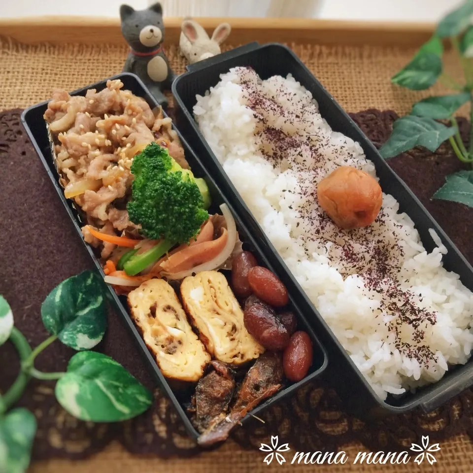 先週のお弁当〜その2|まなまな♡さん