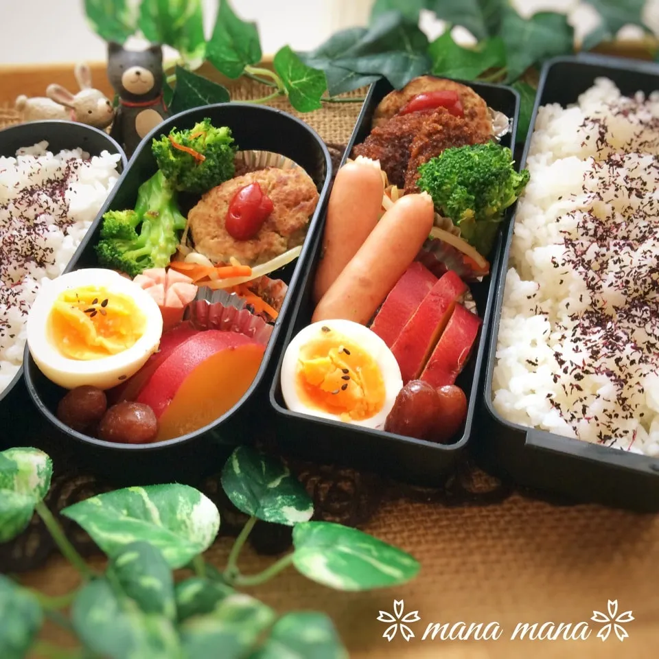 Snapdishの料理写真:授業再開弁当～|まなまな♡さん