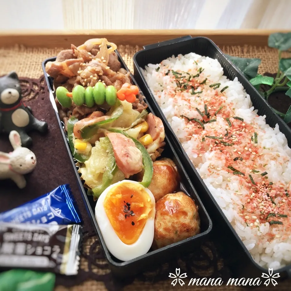 Snapdishの料理写真:本日模試弁当〜|まなまな♡さん