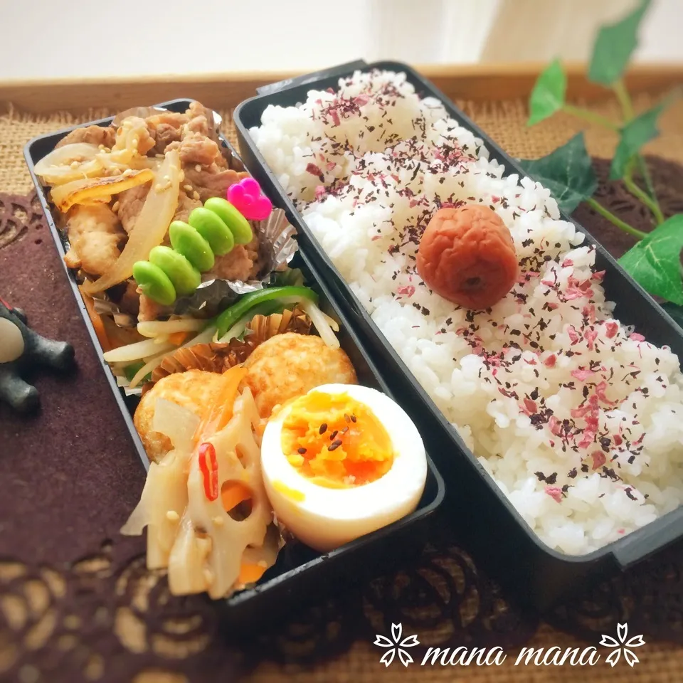 始まりました弁当〜(昨日のです)|まなまな♡さん