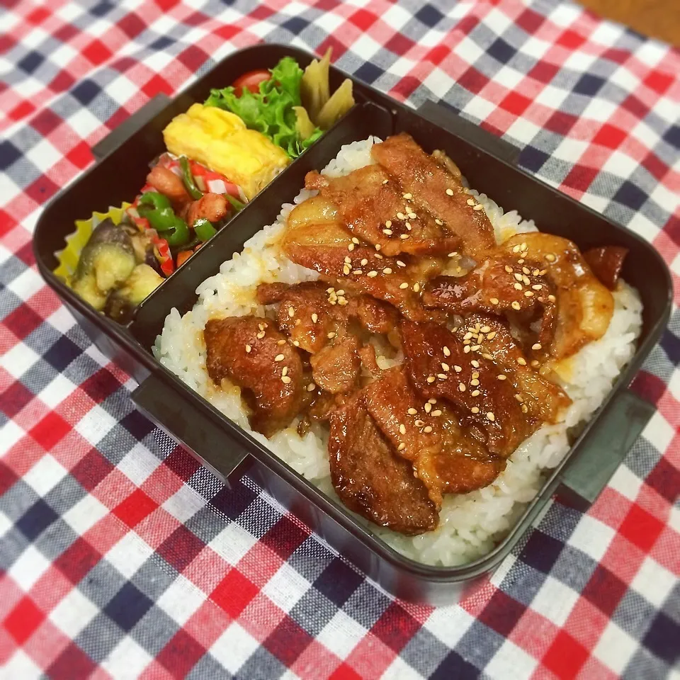 Snapdishの料理写真:高2 男子弁当|あっつさん