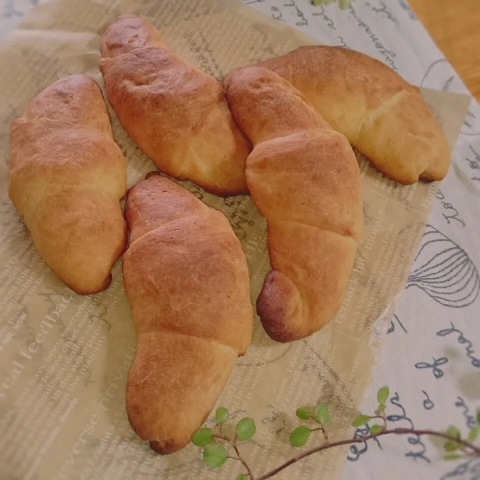 Snapdishの料理写真:はまり中？～捏ねない生地でパン作り～。塩バターパン♪|とまと🍅さん