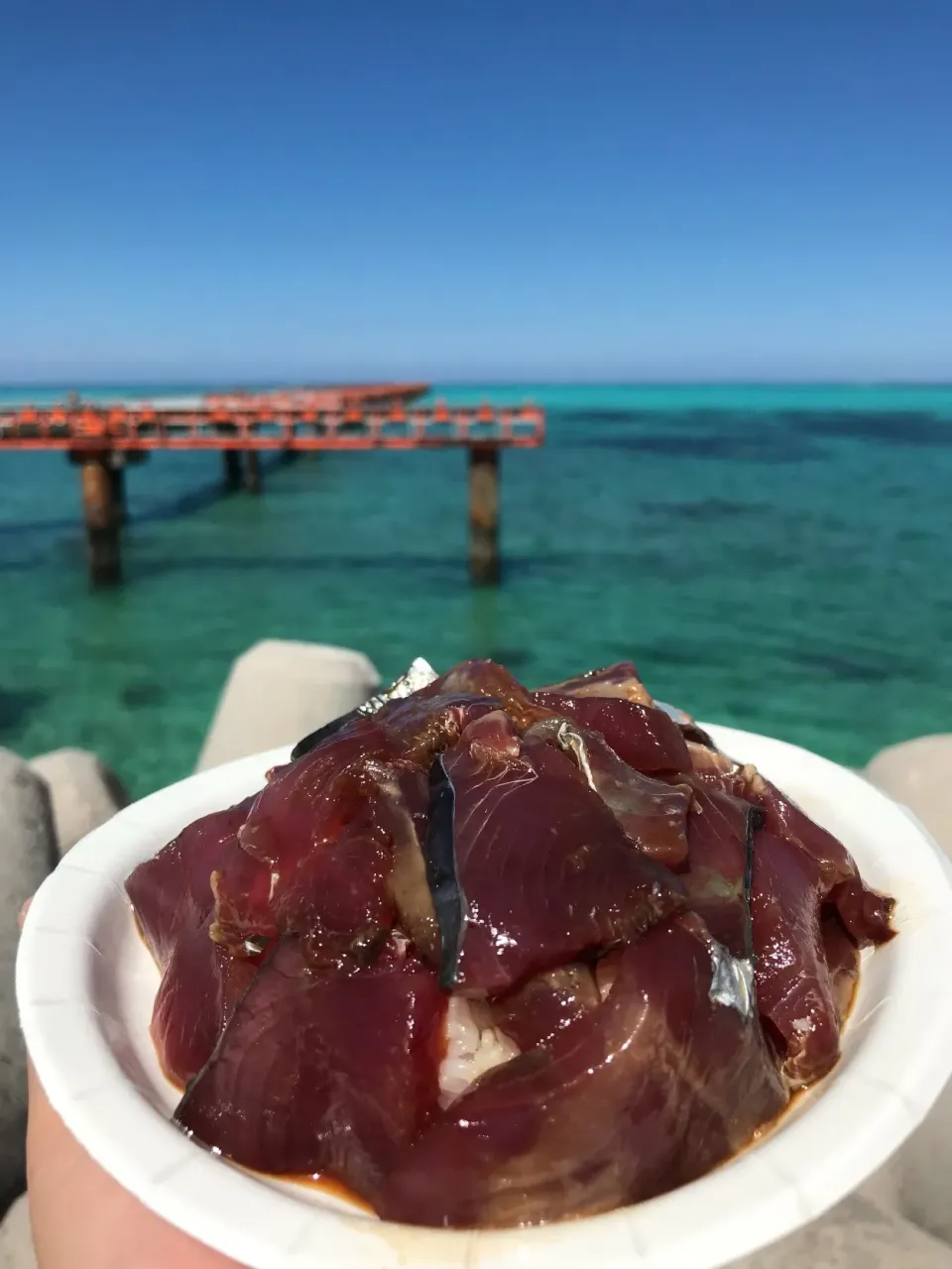 10月22日お昼ご飯。宿のガイドお昼。カツオの醤油酢漬け丼。加工なしの海の色です🏝|あやさん