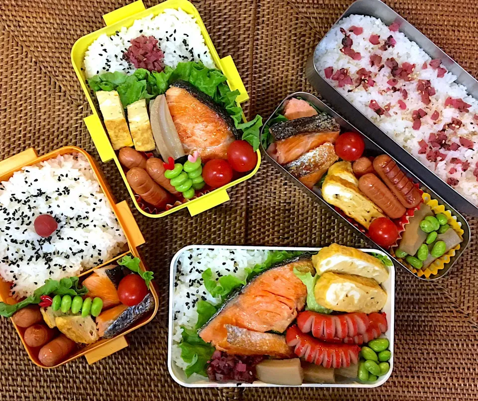 #中高生弁当  #父ちゃん弁当  #鮭弁|よちこさん