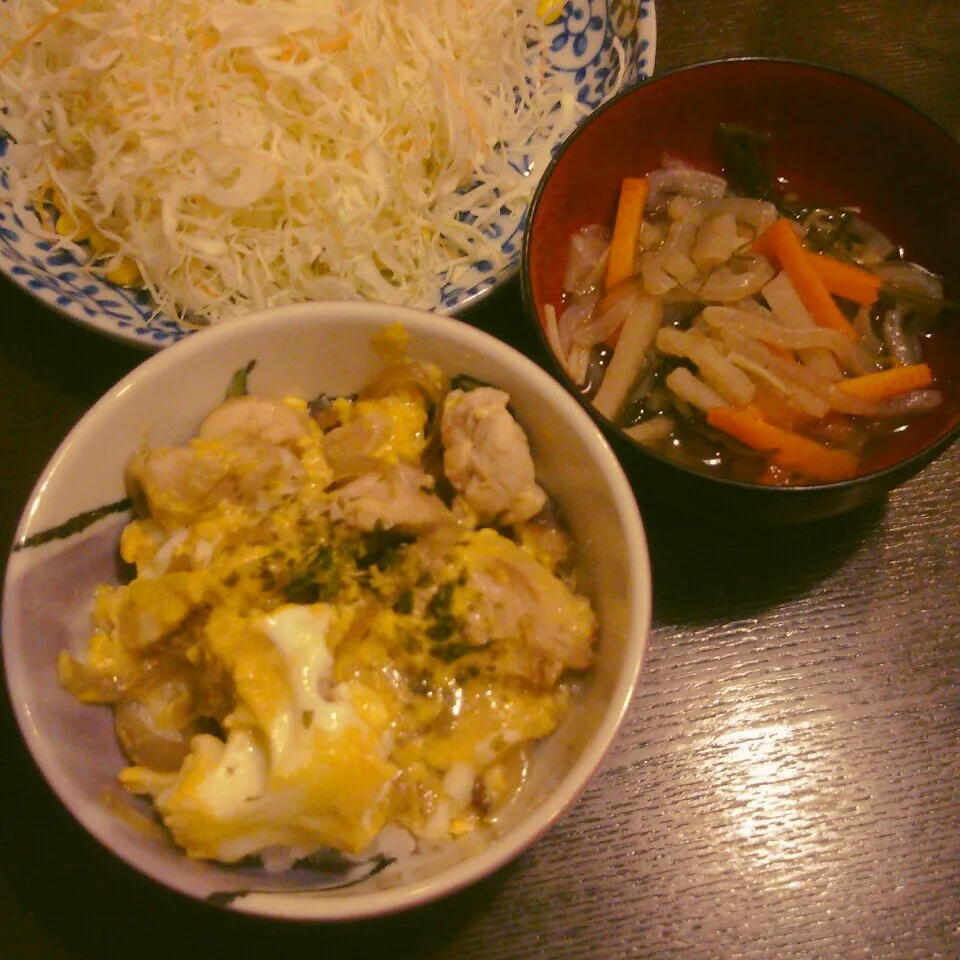 かおちゃんの親子丼で晩ご飯🌃🍴|Rieさん