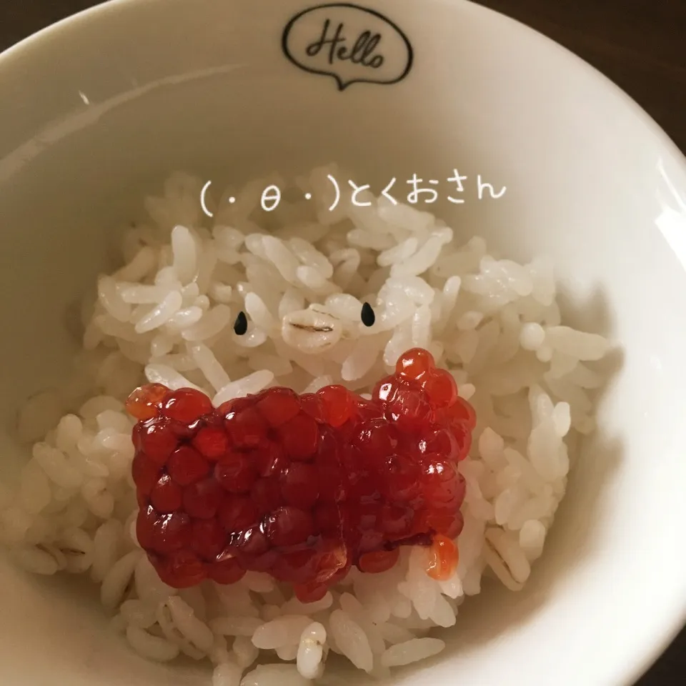 Snapdishの料理写真:お誕生日おめでとう🎉|しろくまさん