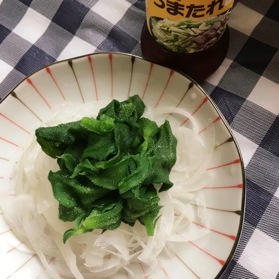 Snapdishの料理写真:アイスプラントサラダ|しろくまさん