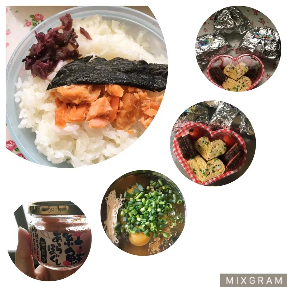 Snapdishの料理写真:鮭弁💗おにぎり弁当|しろくまさん