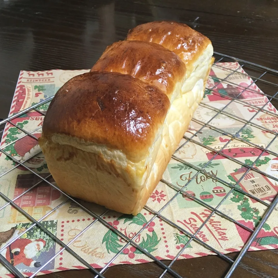 マリンちゃんの生食を山食に←ややこし🤣|TOMOさん