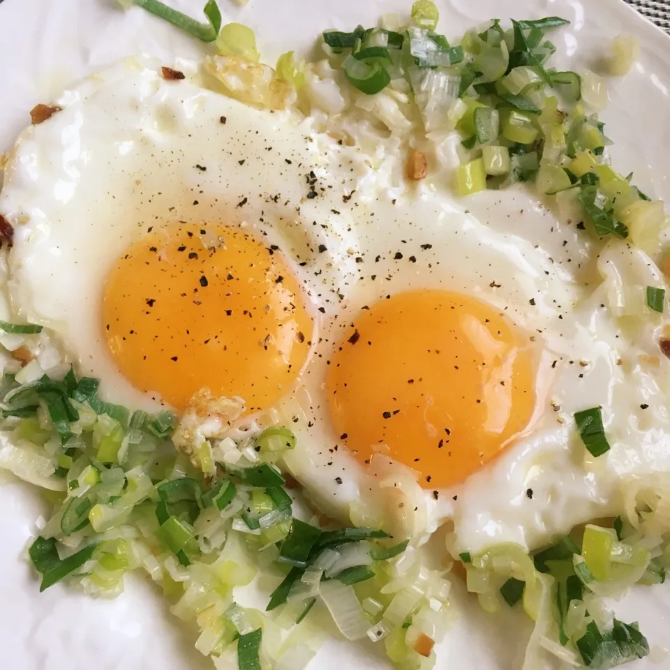 Snapdishの料理写真:ネギたっぷり目玉焼き🍳|しろくまさん