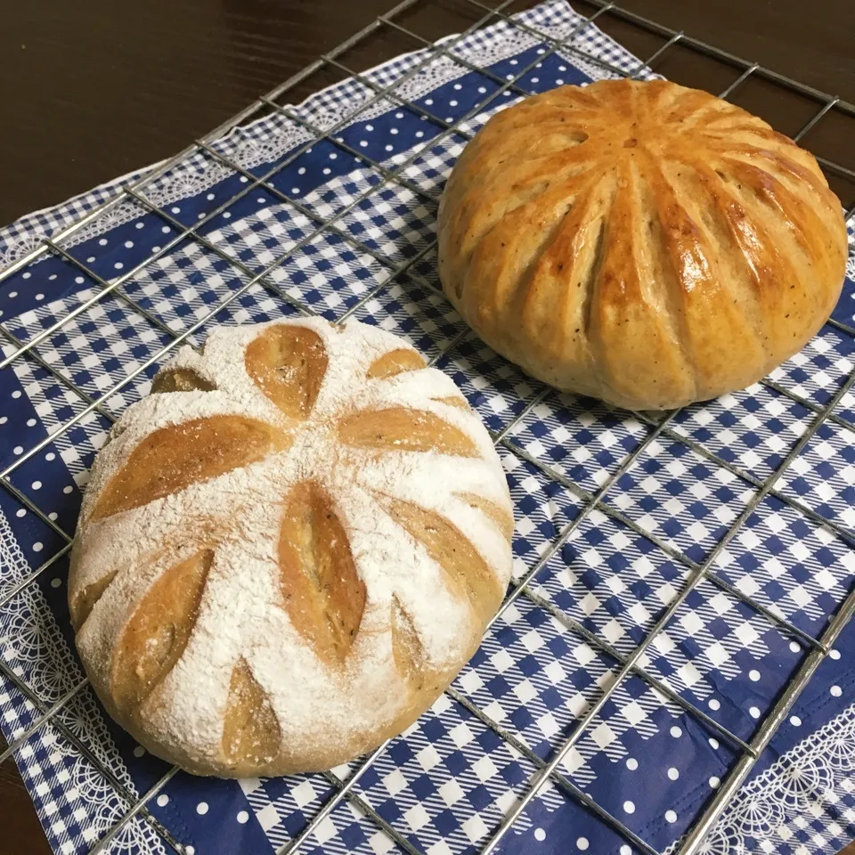 自家製酵母〜紅茶酵母〜リベンジ！ブリエ|TOMOさん