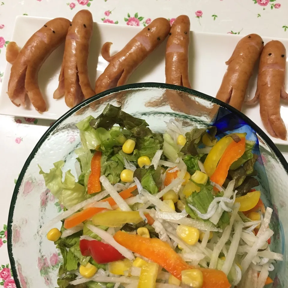 アキーバちゃんお誕生日おめでとう〜🎉|しろくまさん