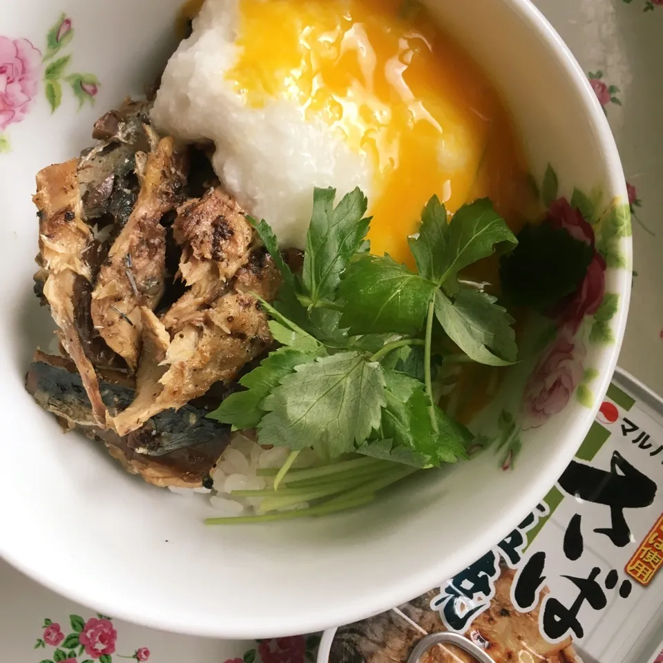 鯖とろ丼|しろくまさん