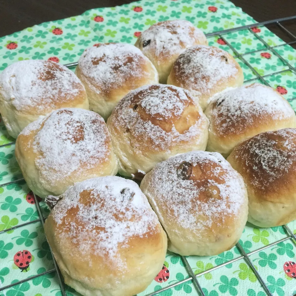 「ちぎりパン部」ヨーグルト湯種のレーズンちぎりパン|TOMOさん