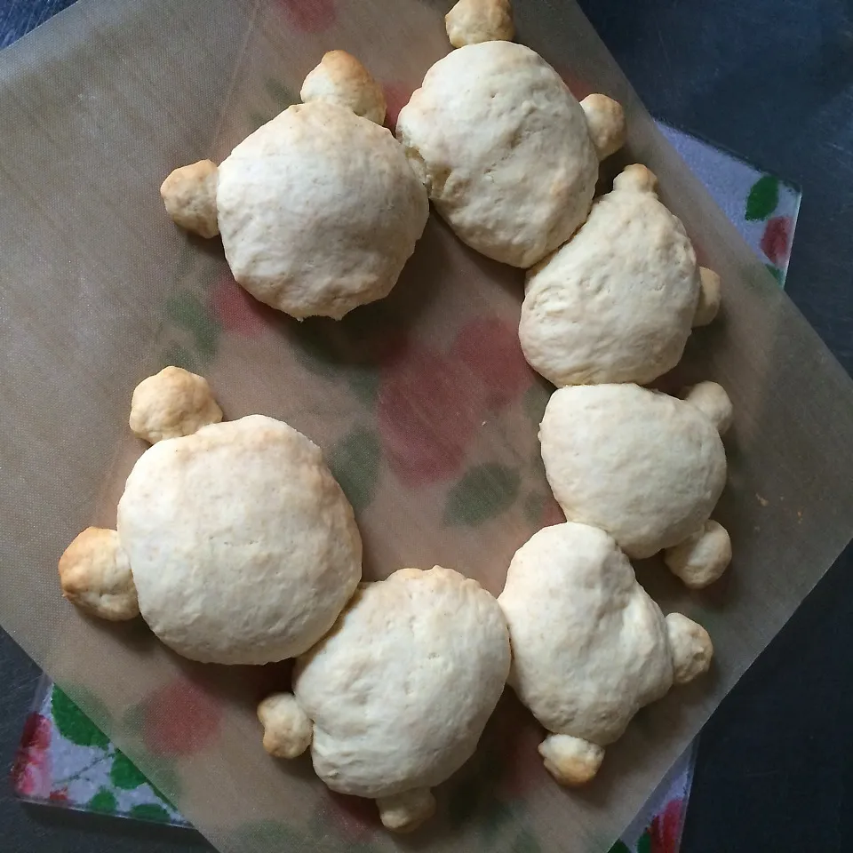 レシピは完璧…見た目が|しろくまさん