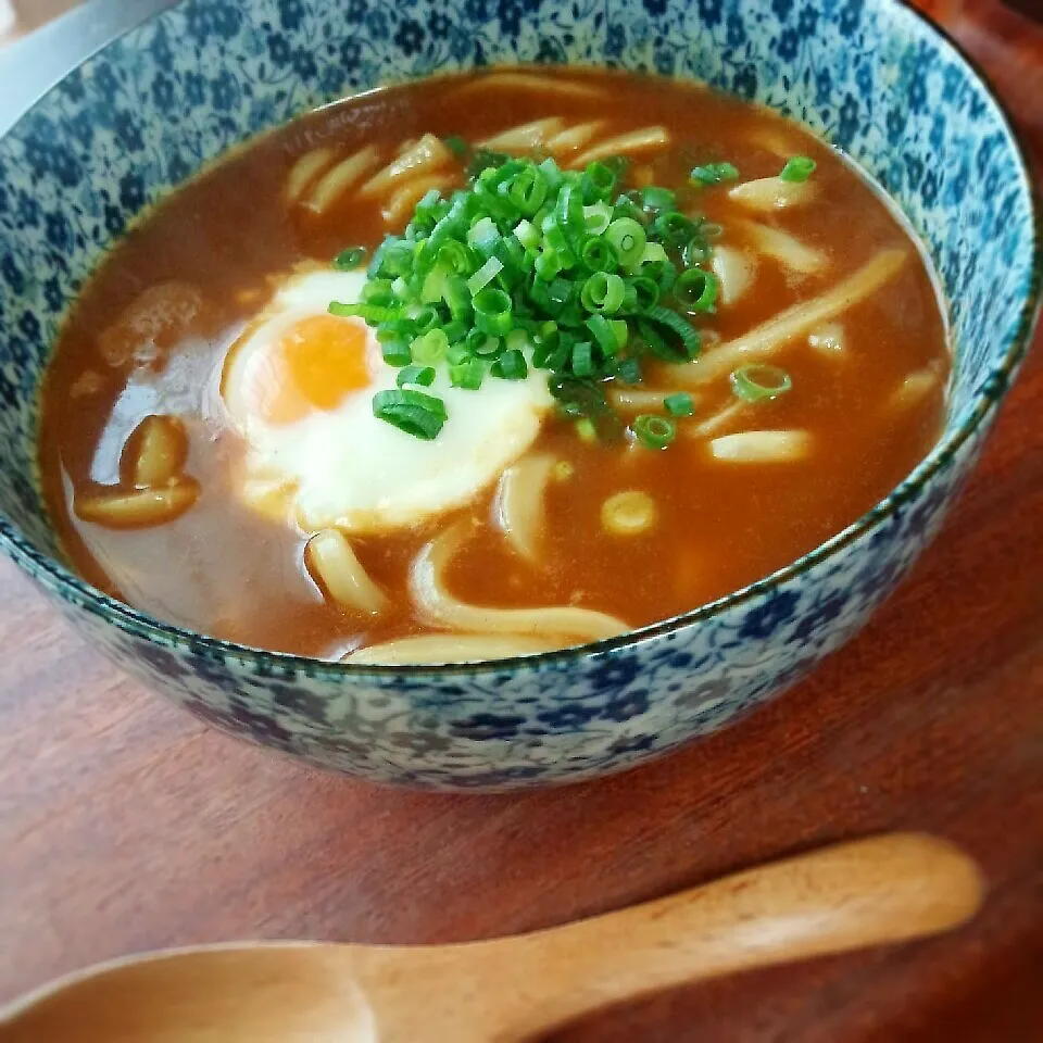 ｶﾚｰうどん|まりおさん