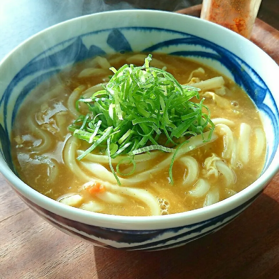 ｶﾚｰうどん|まりおさん