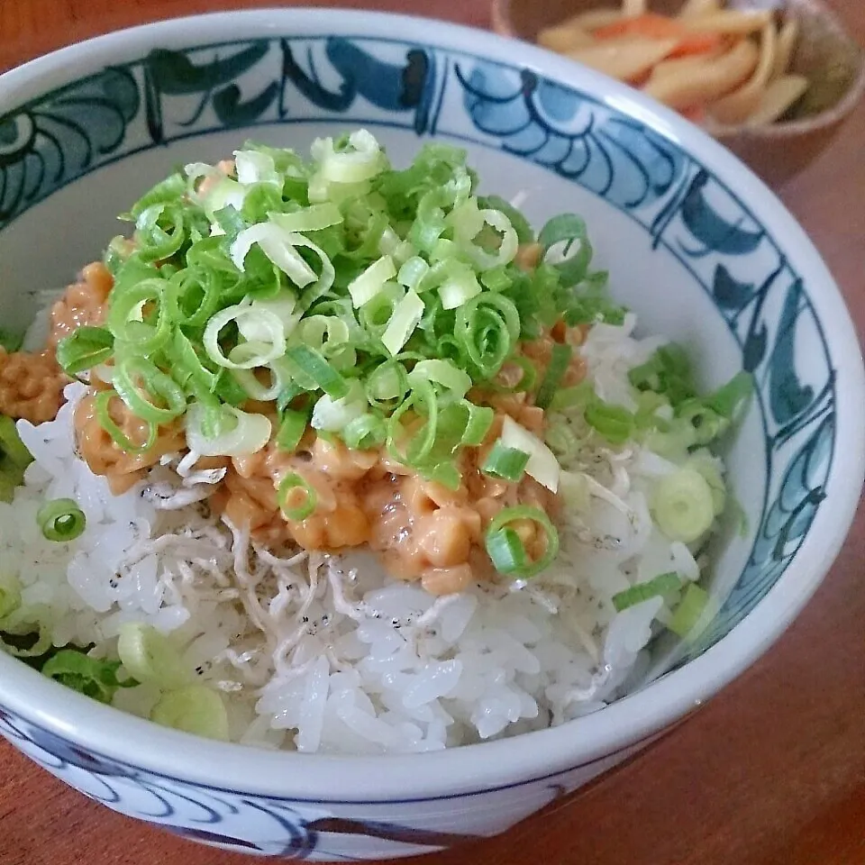 ちりめん納豆ごはん|まりおさん